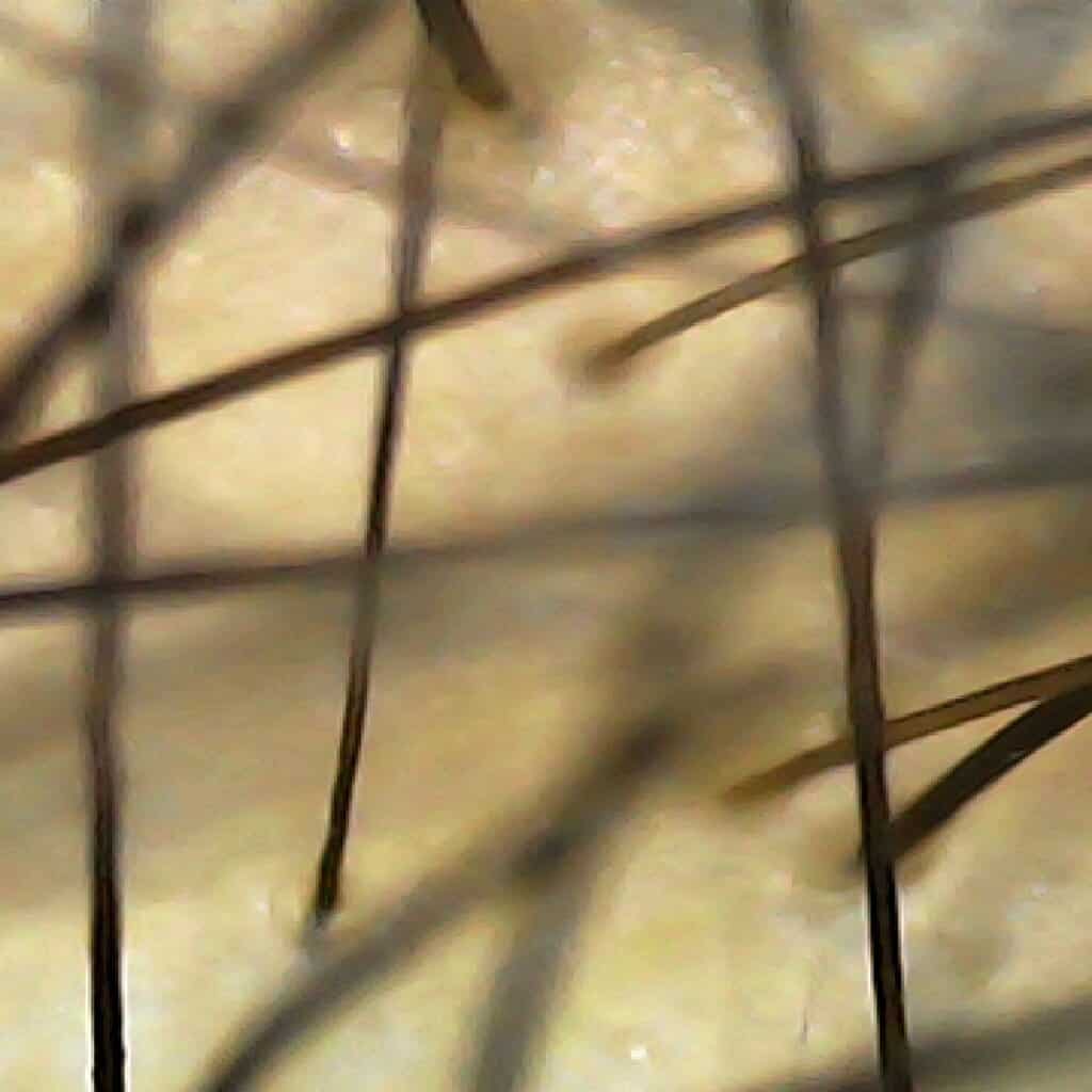 image8