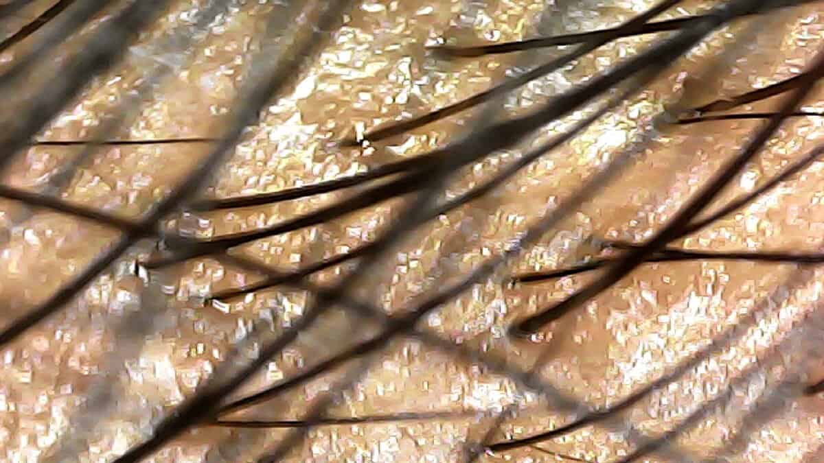 20240418_1814_003_0.000_0 (1)
