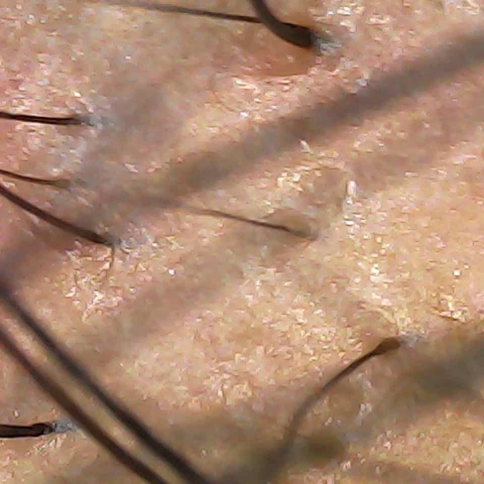 20240520-144309-044_0 (1)1