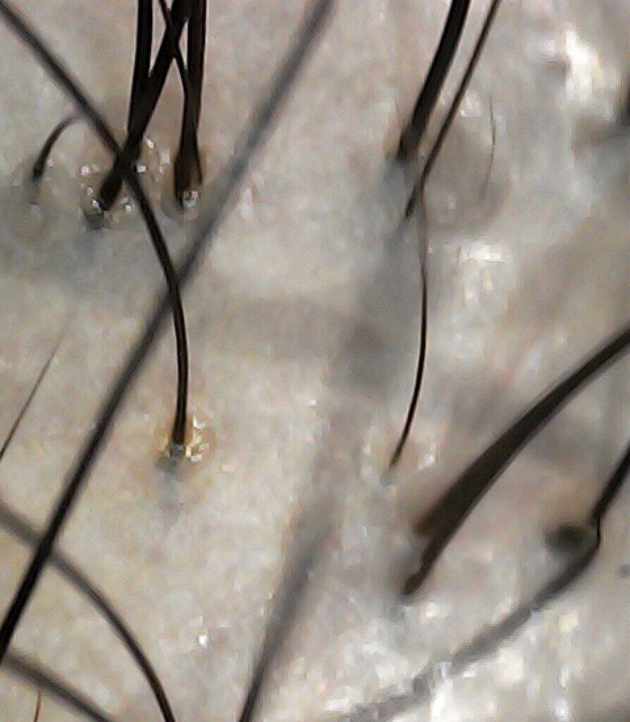 20240712-161243-815_0 (1)