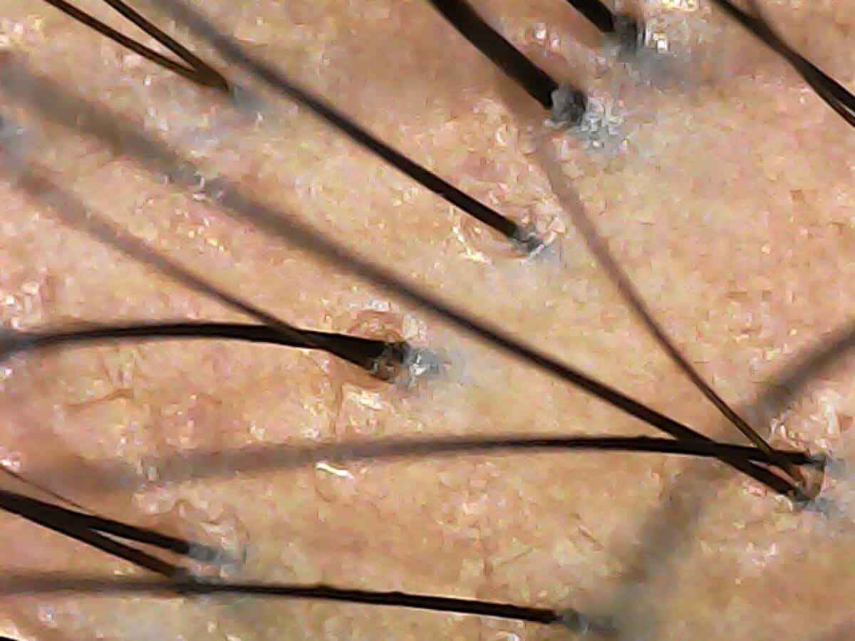 20240827-101343-549_0 (1)