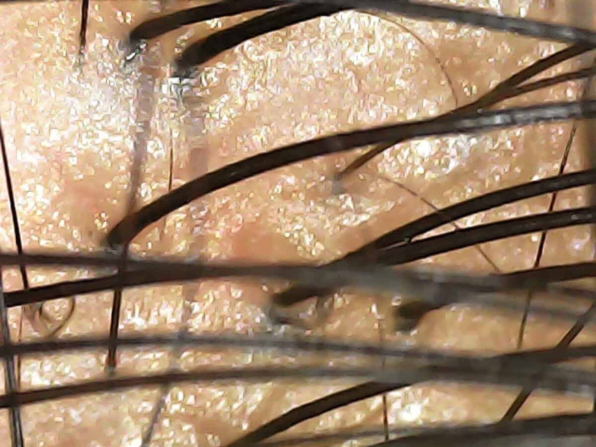 20241021-172247-626_0 (1)