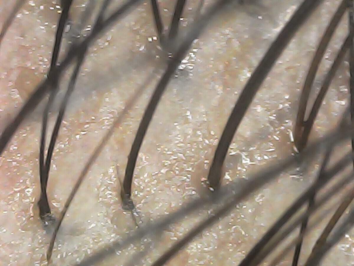 20250112-110252-829_0 (1)