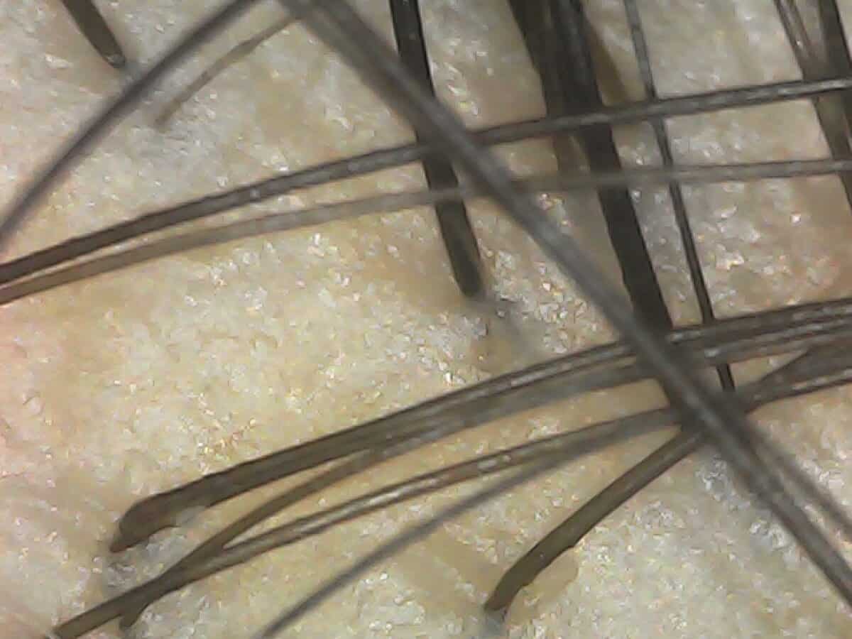20250112-123229-895_0 (1)
