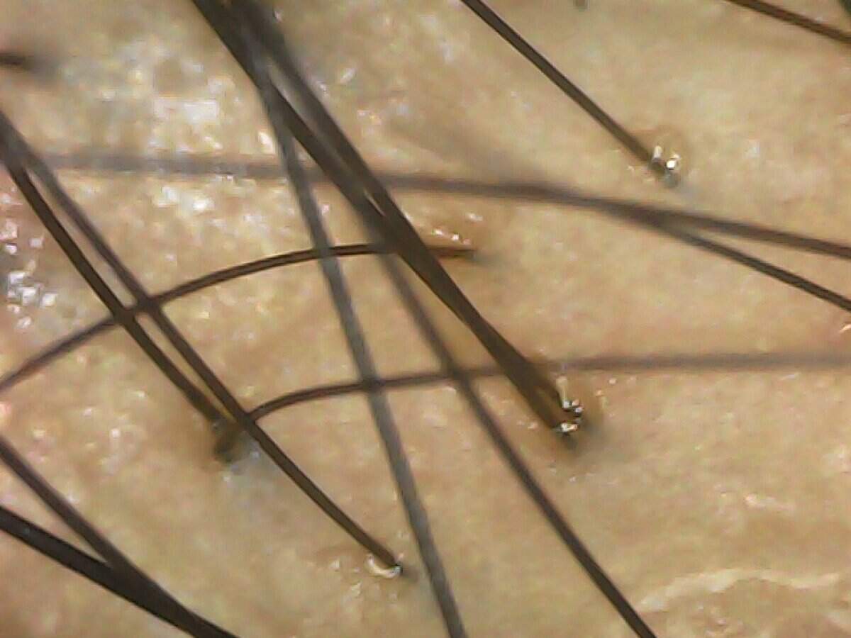 20241217-122906-556_0