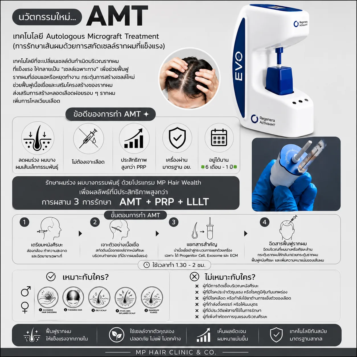 hl-08-amt