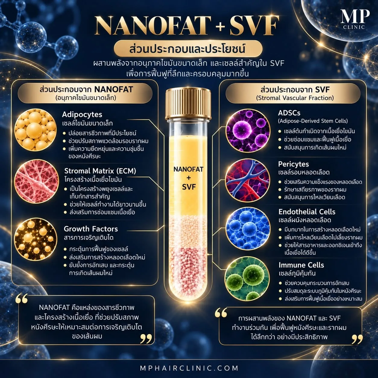 hl-11-nanofat-svf